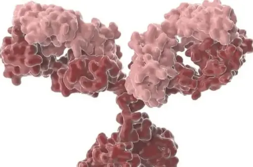 [CSB-PA001367LB01HU] ADIPOR1 Antibody  HRP conjugated   